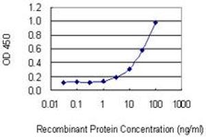 Detection limit for recombinant GST tagged SSSCA1 is 1 ng/ml as a capture antibody. (SSSCA1 antibody  (AA 1-199))