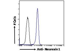 ABIN190771 Flow cytometric analysis of paraformaldehyde fixed Kelly cells (blue line), permeabilized with 0. (Neurexin 1 antibody  (C-Term))