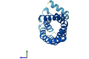 Protein Structure (PS) image for MpV17 Mitochondrial Inner Membrane Protein (MPV17) (AA 1-176) protein (His tag) (ABIN7562938)
