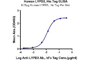 Immobilized Human LYPD3, His Tag at 0. (LYPD3 Protein (AA 31-286) (His tag))
