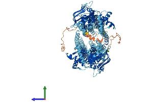 AlphaFold protein structure predicition of Mouse Recombinant Abcb5 Protein, UniprotID B5X0E4 (ABCB5 Protein (AA 1-1255) (His tag))