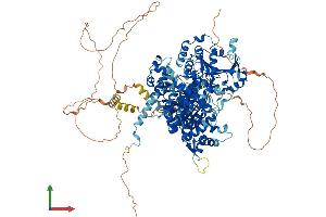 AlphaFold protein structure predicition of Mouse Recombinant Helq Protein, UniprotID Q2VPA6 (HEL308 Protein (AA 1-1069) (His tag))