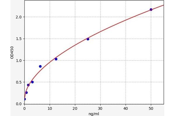 Acid Phosphatase ELISA Kit