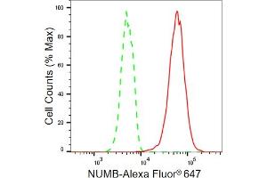 Flow cytometric analysis of NUMB expression in HT- cells using NUMB antibody (ABIN7799692), 1:2,000). (Recombinant NUMB antibody)