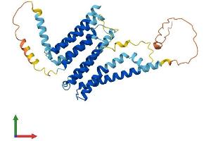 AlphaFold protein structure predicition of Mouse Recombinant Tmem26 Protein, UniprotID Q3UP23 (TMEM26 Protein (AA 1-366) (His tag))