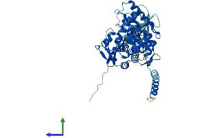 AlphaFold protein structure predicition of Mouse Recombinant Tph1 Protein, UniprotID P17532