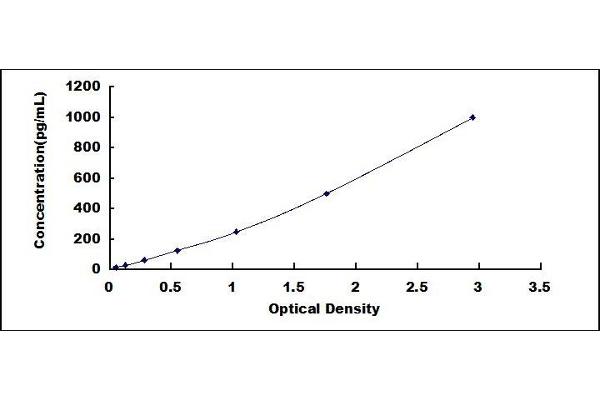 LGALS8 ELISA Kit