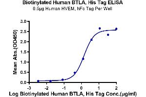 ELISA image for B and T Lymphocyte Associated (BTLA) (AA 31-150) protein (His-Avi Tag,Biotin) (ABIN7273999)