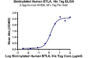 Immobilized Human HVEM, hFc Tag at 5 μg/mL (100 μL/Well) on the plate. (BTLA Protein (His-Avi Tag,Biotin))