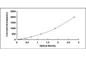 Typical standard curve (OGG1 ELISA Kit)