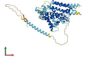 Protein Structure (PS) image for Sterol O-Acyltransferase 2 (SOAT2) (AA 1-525) protein (His tag) (ABIN7562688)