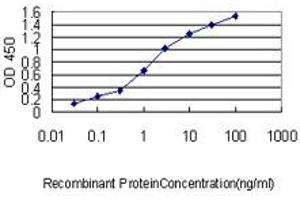 Detection limit for recombinant GST tagged NKX2-5 is approximately 0. (NK2 Homeobox 5 antibody  (AA 1-324))