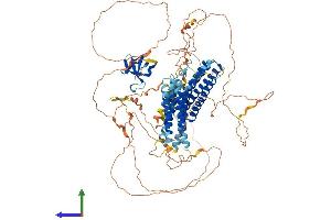 AlphaFold protein structure predicition of Mouse Recombinant Bcar1 Protein, UniprotID Q61140