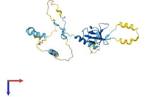AlphaFold protein structure predicition of Human Recombinant EAPP Protein, UniprotID Q56P03