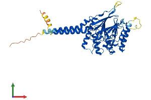 Protein Structure (PS) image for Metallophosphoesterase 1 (MPPE1) (AA 1-396) protein (His tag) (ABIN7558422)