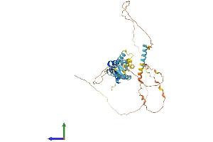 AlphaFold protein structure predicition of Human Recombinant FAM8A1 Protein, UniprotID Q9UBU6 (FAM8A1 Protein (AA 1-413) (His tag))