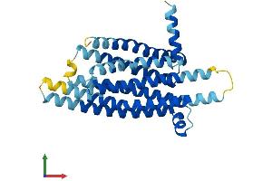 AlphaFold protein structure predicition of Human Recombinant TAS2R13 Protein, UniprotID Q9NYV9 (TAS2R13 Protein (AA 1-303) (His tag))
