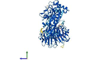 AlphaFold protein structure predicition of Human Recombinant NHLRC2 Protein, UniprotID Q8NBF2