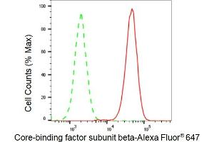 Flow cytometric analysis of Core-binding factor subunit beta expression in HAP-1 cells using Core-binding factor subunit beta antibody (ABIN7798155), 1:2,000). (Recombinant CBFB antibody)