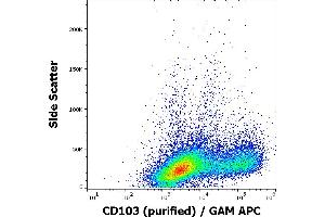 Flow cytometry surface staining pattern of human PHA stimulated peripheral blood mononuclear cells stained using anti-human CD103 (Ber-ACT8) purified antibody (concentration in sample 3 μg/mL, GAM APC). (CD103 antibody)