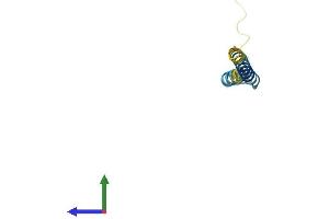 AlphaFold protein structure predicition of Mouse Recombinant Triqk Protein, UniprotID B2B9E1
