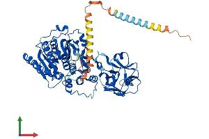 AlphaFold protein structure predicition of Human Recombinant GALNT18 Protein, UniprotID Q6P9A2 (UDP-N-Acetyl-alpha-D-Galactosamine:polypeptide N-Acetylgalactosaminyltransferase 18 (GALNT18) (AA 1-607) protein (His tag))