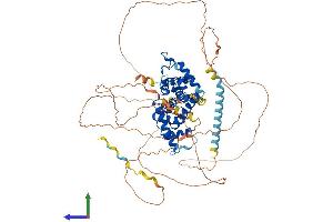 AlphaFold protein structure predicition of Human Recombinant CCNT1 Protein, UniprotID O60563 (Cyclin T1 Protein (CCNT1) (AA 1-726) (His tag))