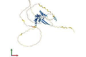 AlphaFold protein structure predicition of Mouse Recombinant Arid3c Protein, UniprotID A6PWV5 (ARID3C Protein (AA 1-409) (His tag))