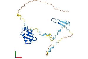 Protein Structure (PS) image for RCAN Family Member 3 (RCAN3) (AA 1-239) protein (His tag) (ABIN7561637)