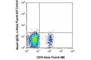 Flow Cytometry (FACS) image for anti-Chemokine (C-C Motif) Receptor 6 (CCR6) antibody (Alexa Fluor 647) (ABIN2657669) (CCR6 antibody  (Alexa Fluor 647))