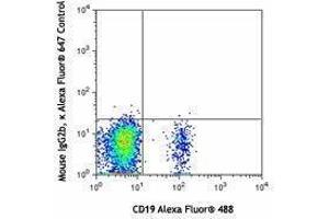 Flow Cytometry (FACS) image for anti-Chemokine (C-C Motif) Receptor 6 (CCR6) antibody (Alexa Fluor 647) (ABIN2657669) (CCR6 antibody  (Alexa Fluor 647))