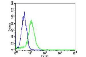 Flow cytometric analysis of Hela cells using TOP1 Antibody (N-term)(green, Cat(ABIN1882055 and ABIN2838496)) compared to an isotype control of mouse IgG1(blue). (Topoisomerase I antibody  (N-Term))