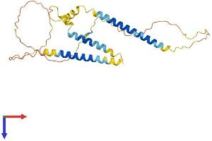 Chromosome 3 Open Reading Frame 62 (C3orf62) (AA 1-267) protein (His tag)