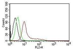 Flow Cytometric analysis of human Ku (p70/p80) on K562 cells. (XRCC6/XRCC5 antibody  (PE))