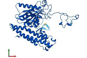 AlphaFold protein structure predicition of Human Recombinant FOLH1B Protein, UniprotID Q9HBA9 (FOLH1B Protein (AA 1-442) (His tag))