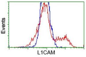 Image no. 2 for anti-L1 Cell Adhesion Molecule (L1CAM) antibody (ABIN1499085) (L1CAM antibody)