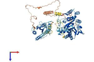AlphaFold protein structure predicition of Human Recombinant TYW1B Protein, UniprotID Q6NUM6 (TYW1B Protein (AA 1-668) (His tag))