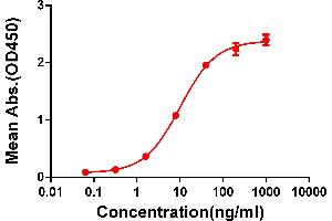ELISA image for anti-Cytotoxic T-Lymphocyte-Associated Protein 4 (CTLA4) (AA 36-161) antibody (ABIN6964050)