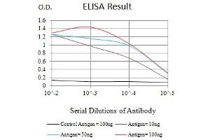 Black line: Control Antigen (100 ng),Purple line: Antigen (10 ng), Blue line: Antigen (50 ng), Red line:Antigen (100 ng) (GATA3 antibody  (AA 287-301))