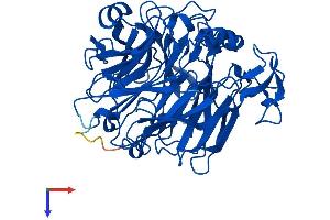 Selenium Binding Protein 2 (SELENBP2) (AA 1-472) protein (His tag)