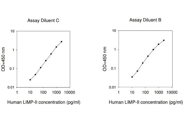 SCARB2 ELISA Kit