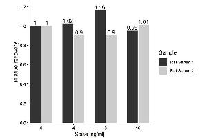 The Rat TSH (Thyroid Stimulating Hormone) ELISA Kitwas tested for Spiking and Recovery. (TSH ELISA Kit)