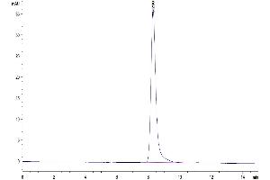 The purity of Mouse EphB3 is greater than 95 % as determined by SEC-HPLC. (EPH Receptor B3 Protein (EPHB3) (AA 30-554) (His tag))