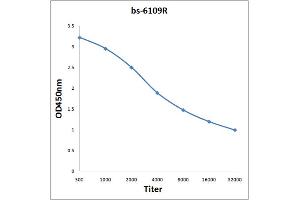 Antigen: 0. (SMARCB1 antibody  (AA 301-385))