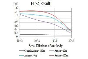 ELISA image for anti-TBC1 Domain Family, Member 4 (TBC1D4) (AA 574-712) antibody (ABIN5684096)