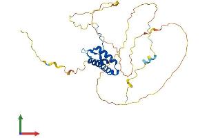 AlphaFold protein structure predicition of Mouse Recombinant Sox12 Protein, UniprotID Q04890 (SOX12 Protein (AA 1-314) (His tag))