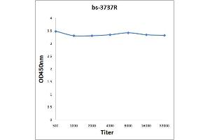 Antigen: 0. (PPARG antibody  (pSer112))
