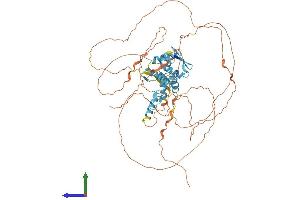 AlphaFold protein structure predicition of Human Recombinant ZBTB22 Protein, UniprotID O15209