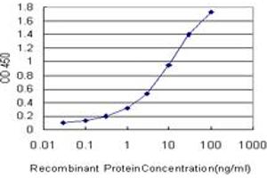 Detection limit for recombinant GST tagged MLL4 is approximately 0. (MLL4 antibody  (AA 813-904))