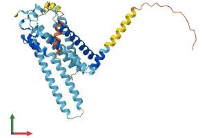 Protein Structure (PS) image for Lysophosphatidic Acid Receptor 2 (LPAR2) (AA 1-348) protein (His tag) (ABIN7561658)